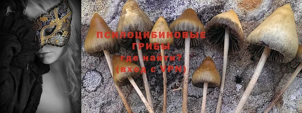 герыч Горняк