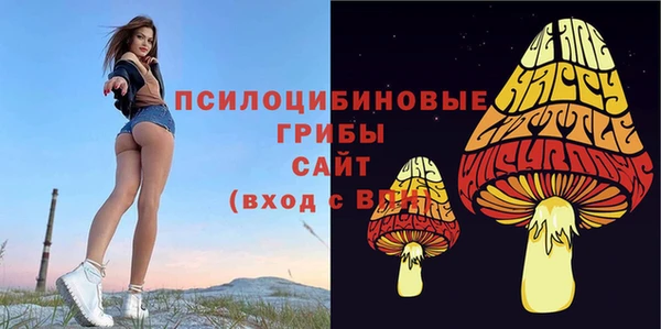 герыч Горняк
