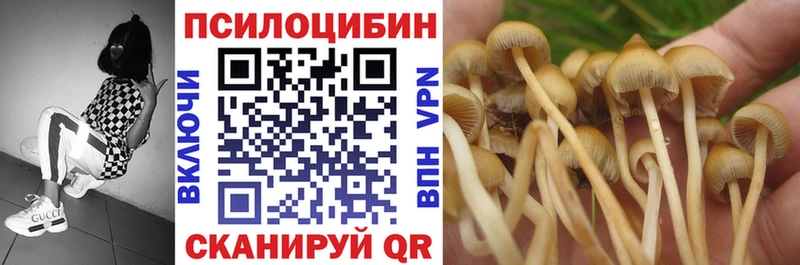 магазин    Березники  Галлюциногенные грибы Psilocybe 
